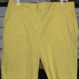 Bermuda Shorts - Talbots